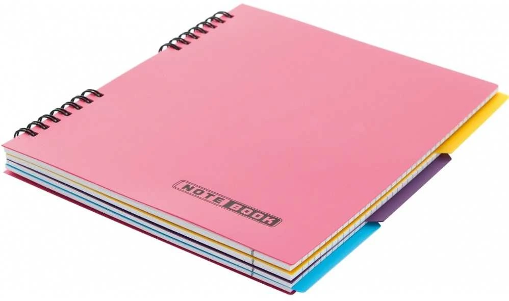 Bloknotas NOTEBOOK, EconoMix, B5, langeliais, 120 lapų, 60gsm, su spirale šone, plastikinis viršelis