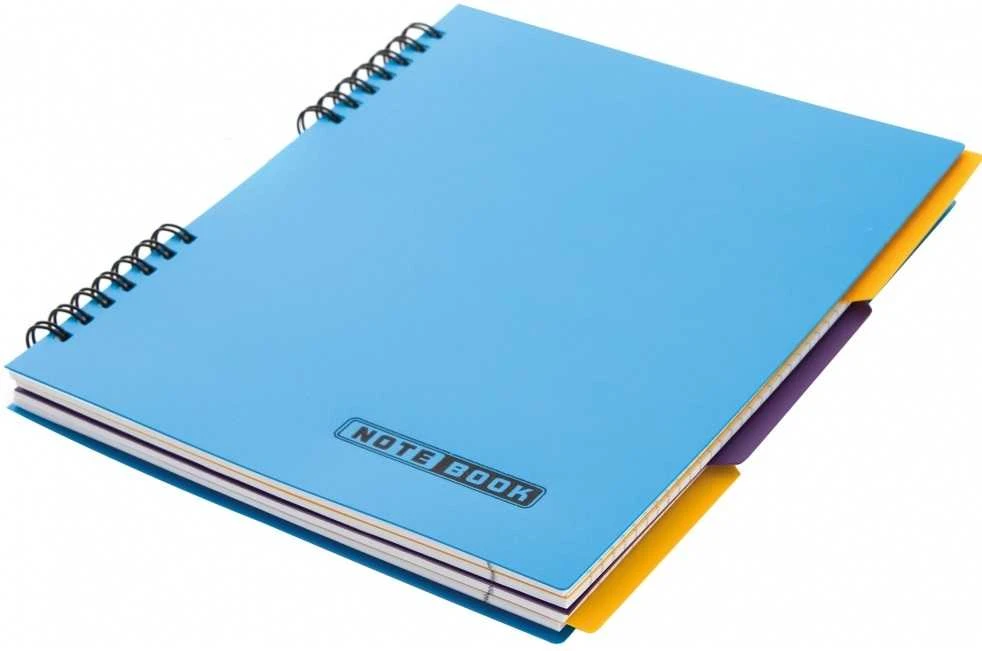 Bloknotas NOTEBOOK, EconoMix, B5, langeliais, 120 lapų, 60gsm, su spirale šone, plastikinis viršelis
