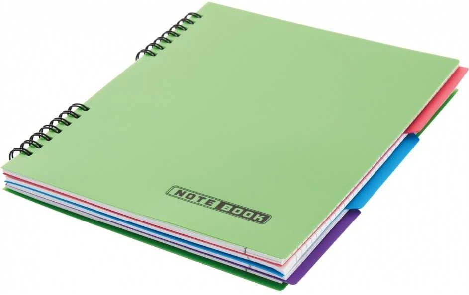 Bloknotas NOTEBOOK, EconoMix, B5, langeliais, 120 lapų, 60gsm, su spirale šone, plastikinis viršelis