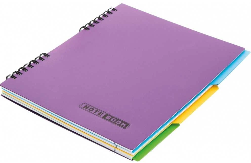 Bloknotas NOTEBOOK, EconoMix, B5, langeliais, 120 lapų, 60gsm, su spirale šone, plastikinis viršelis