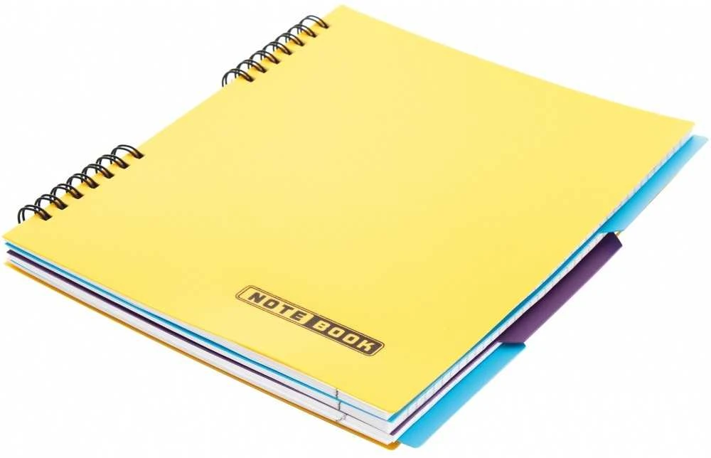 Bloknotas NOTEBOOK, EconoMix, B5, langeliais, 120 lapų, 60gsm, su spirale šone, plastikinis viršelis