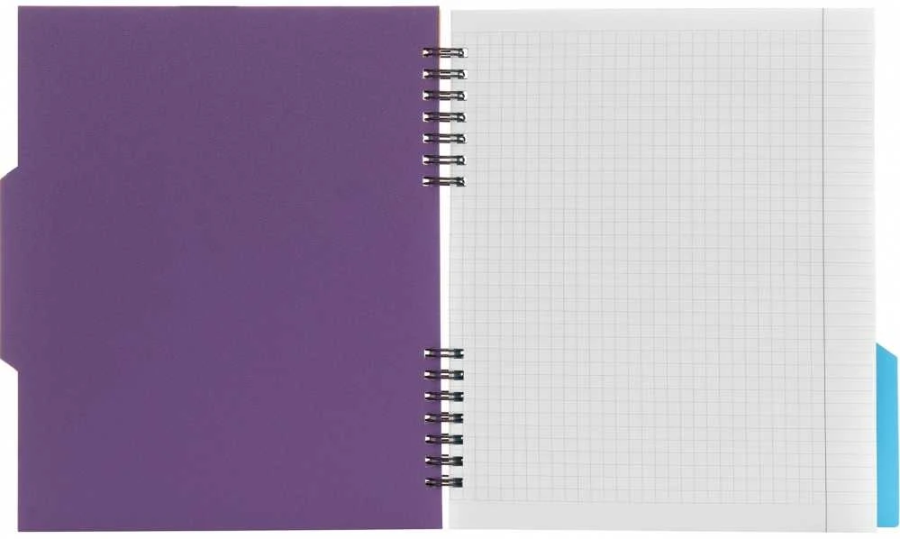 Bloknotas NOTEBOOK, EconoMix, B5, langeliais, 120 lapų, 60gsm, su spirale šone, plastikinis viršelis