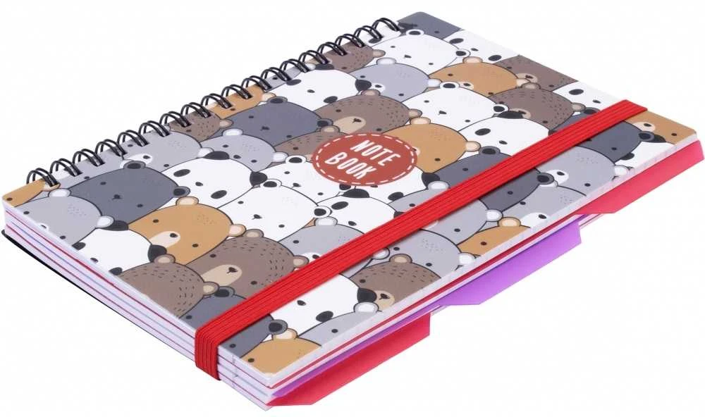 Bloknotas PANDA, Optima, B6, 100 lapų, langeliais, 65gsm, su spirale šone, plastikinis viršelis