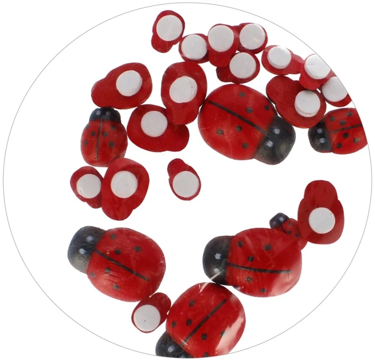 Dekoracija iš medžio CRAFT with FUN Ladybirds, lipni, 24 vnt., įvairių dydžių