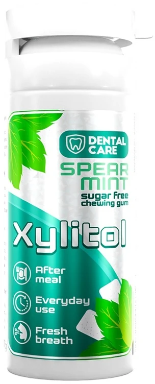 Dental Care Xylitol becukrė kramtomoji guma su ksilitoliu mėtos skonio, 20 vnt.