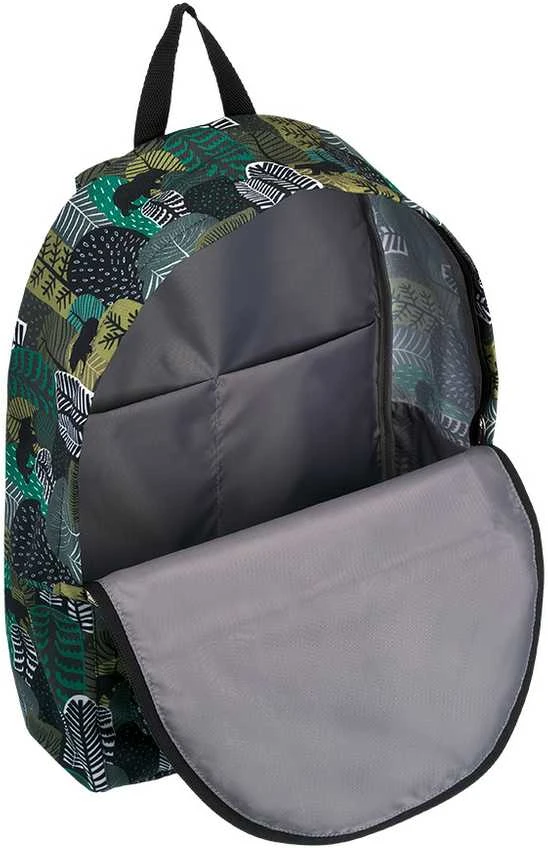 Laisvalaikio kuprinė SIBERIA, ErichKrause, 17L, 290g