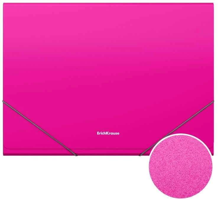Plastikinis dėklas su skyriais Matinis VIVID, ErichKrause, A4, 700mkr, 12 skyrių, su guma, 4 sp.