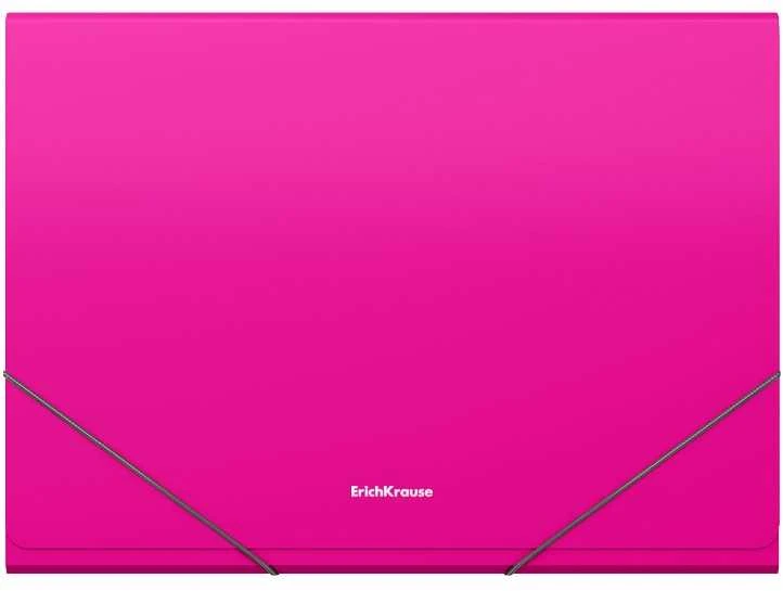 Plastikinis dėklas su skyriais Matinis VIVID, ErichKrause, A4, 700mkr, 12 skyrių, su guma, 4 sp.