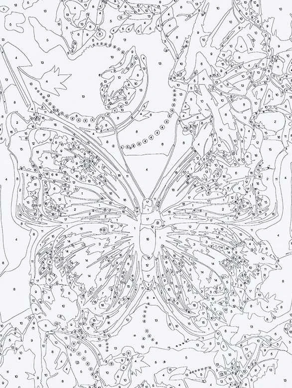 Centrum Rinkinys tapybai ant drobės pagal skaičius BUTTERFLY, 300x400mm