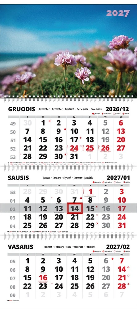 Sieninis pakabinamas kalendorius TRIPLE Gėlės, 310x750mm, trijų dalių, 2027 m.