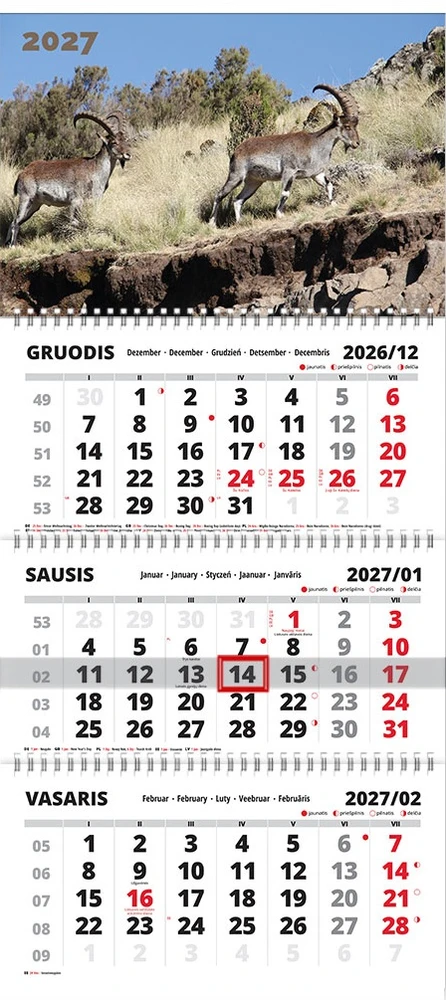 Sieninis pakabinamas kalendorius TRIPLE Ožiai, 310x750mm, trijų dalių, 2027 m.