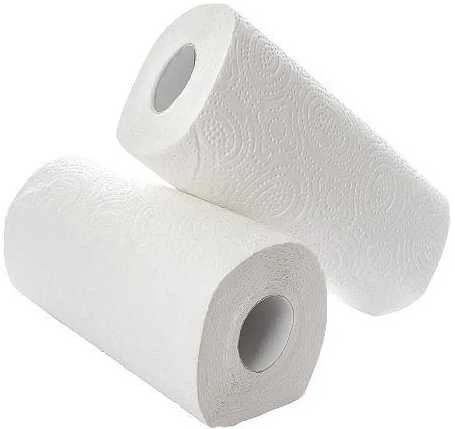 Virtuviniai popieriniai rankšluosčiai PAPERNET Special, rulone, 10m, 2 sl., celiuliozė, 2 rul.