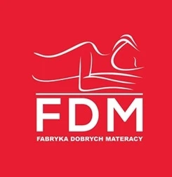 Čiužinys FDM, 120x200 cm