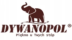 Kilimas Dywanpol, 80x150 cm