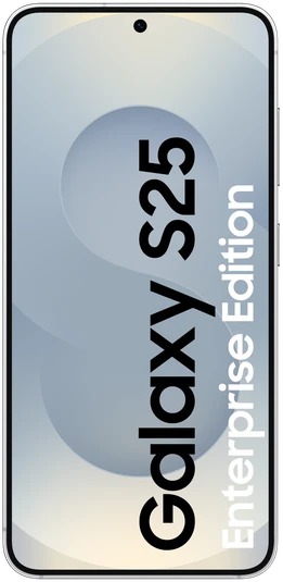 SAMSUNG Galaxy S25 5G 12/128GB Silver Shadow (Enterprise Edition)