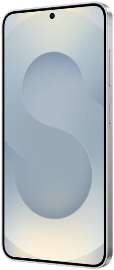SAMSUNG Galaxy S25 5G 12/128GB Silver Shadow (Enterprise Edition)