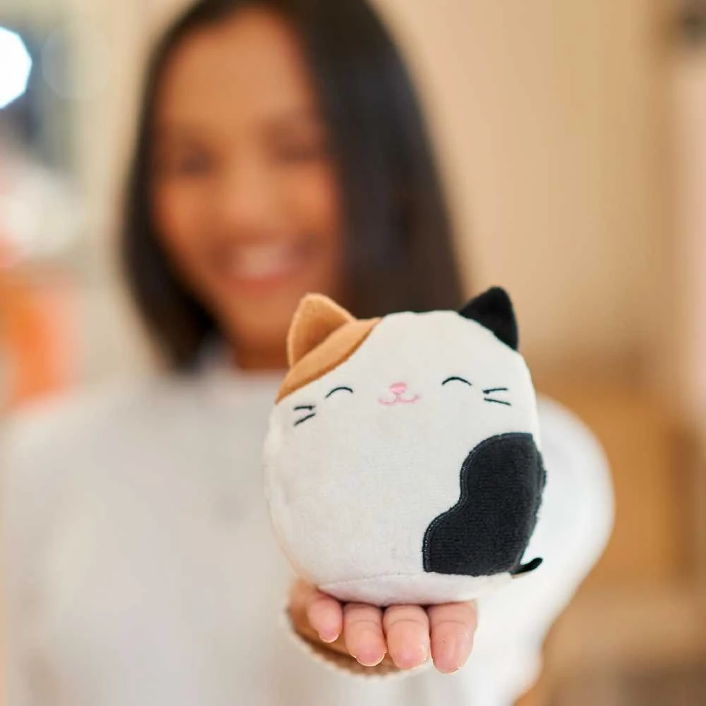 Squishmallows Bluetooth garsiakalbis Cam