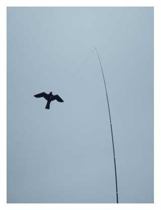 Paukščių baidyklė ,aitvaras "Vanagas"155cm+teleskopinis kotas 4m XLINE