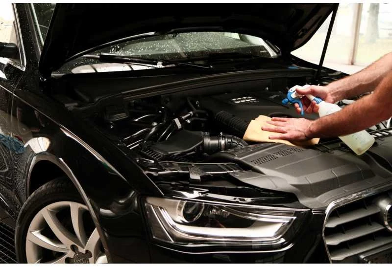Šluostė sintetinė sausinimo PROFESIONALI 50x44 cm