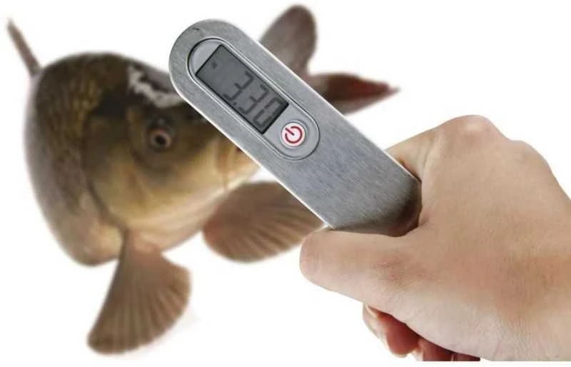Virtuvinės svarstyklės Emos Svarstyklės rankinės pakabinamos iki 50kg