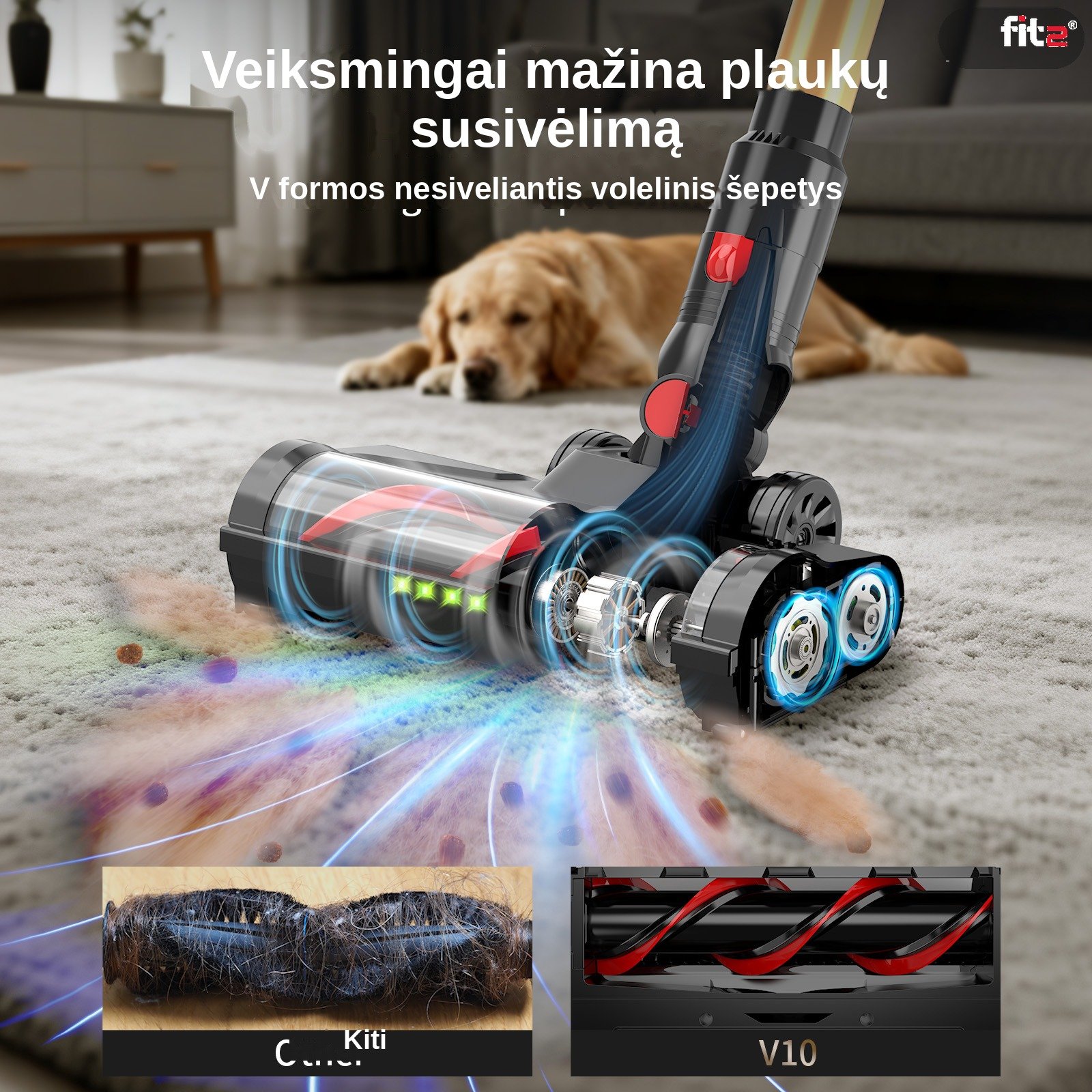 Belaidis dulkių siurblys FIT2 V10 aprašymas - Prekės nuotrauka