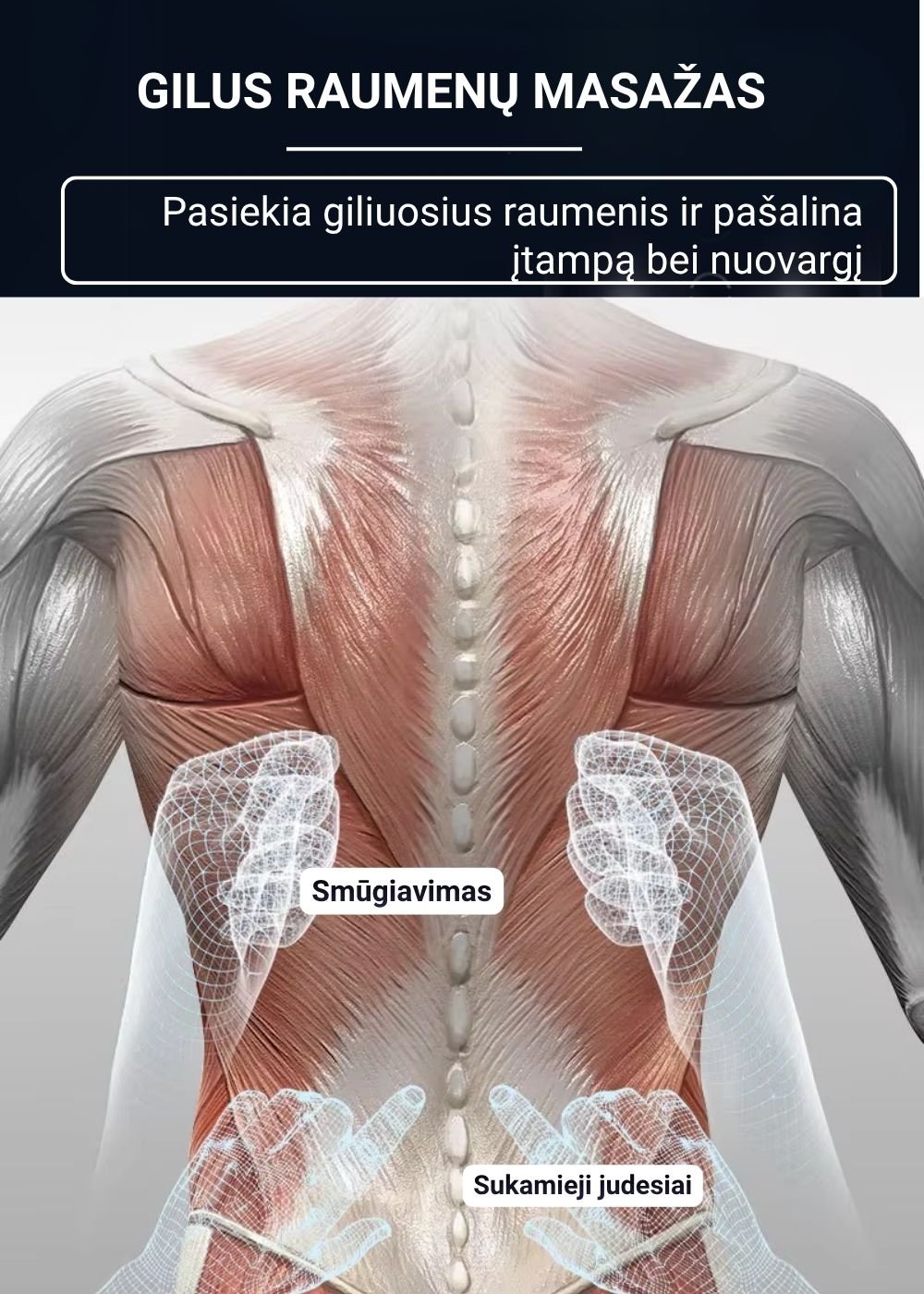 Nugaros masažuoklis FIT2 Pulse ZM-C019 aprašymas - Prekės nuotrauka