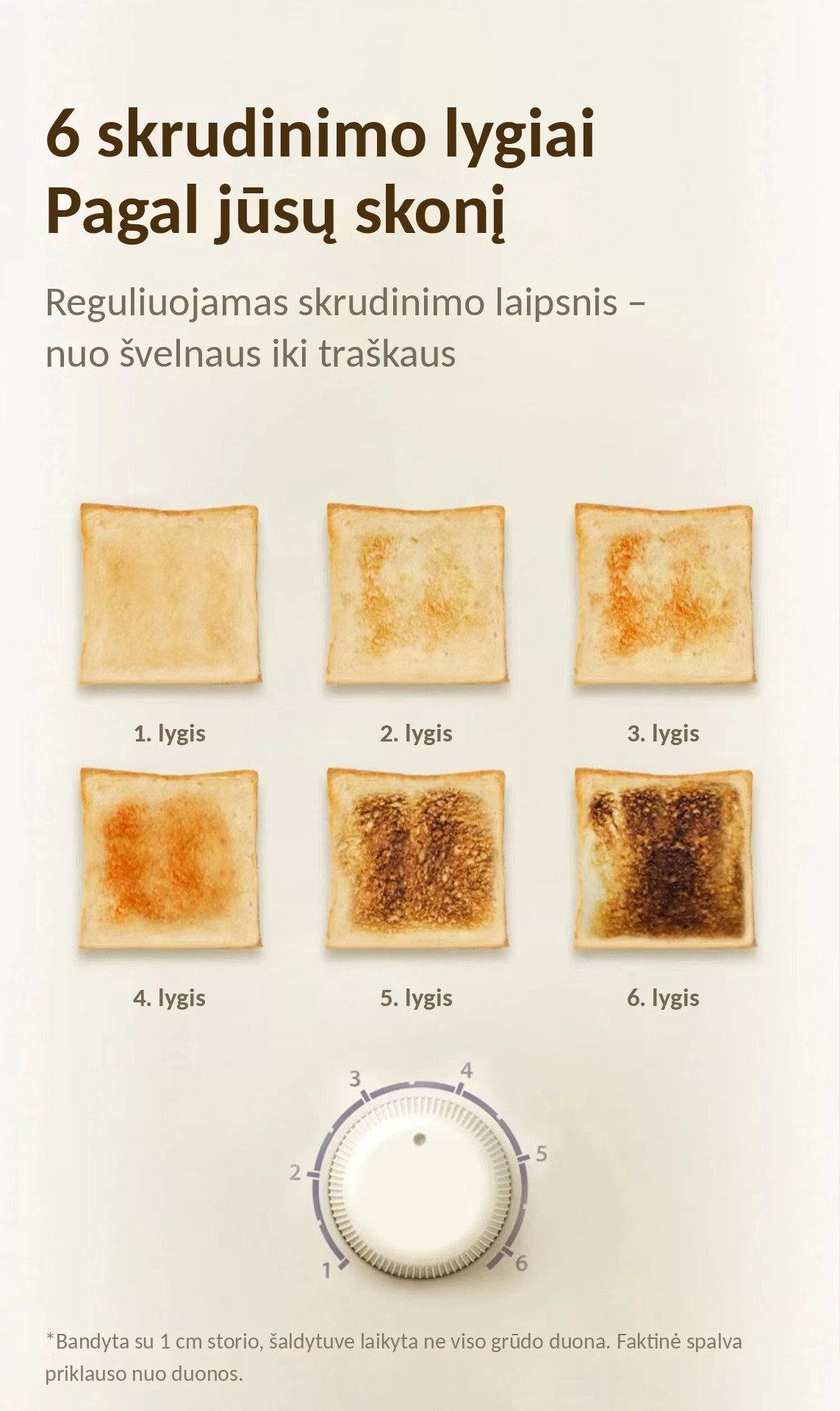 Skrudintuvas BH-002B, 650 W, 2 riekėms, metalinis korpusas, plieno / juodas aprašymas - Prekės nuotrauka