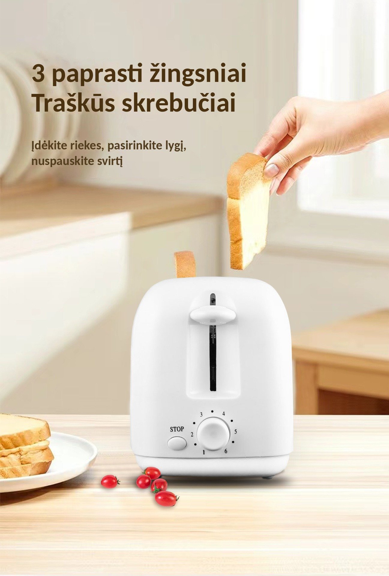 Skrudintuvas BH-002B, 650 W, 2 riekėms, metalinis korpusas, plieno / juodas aprašymas - Prekės nuotrauka