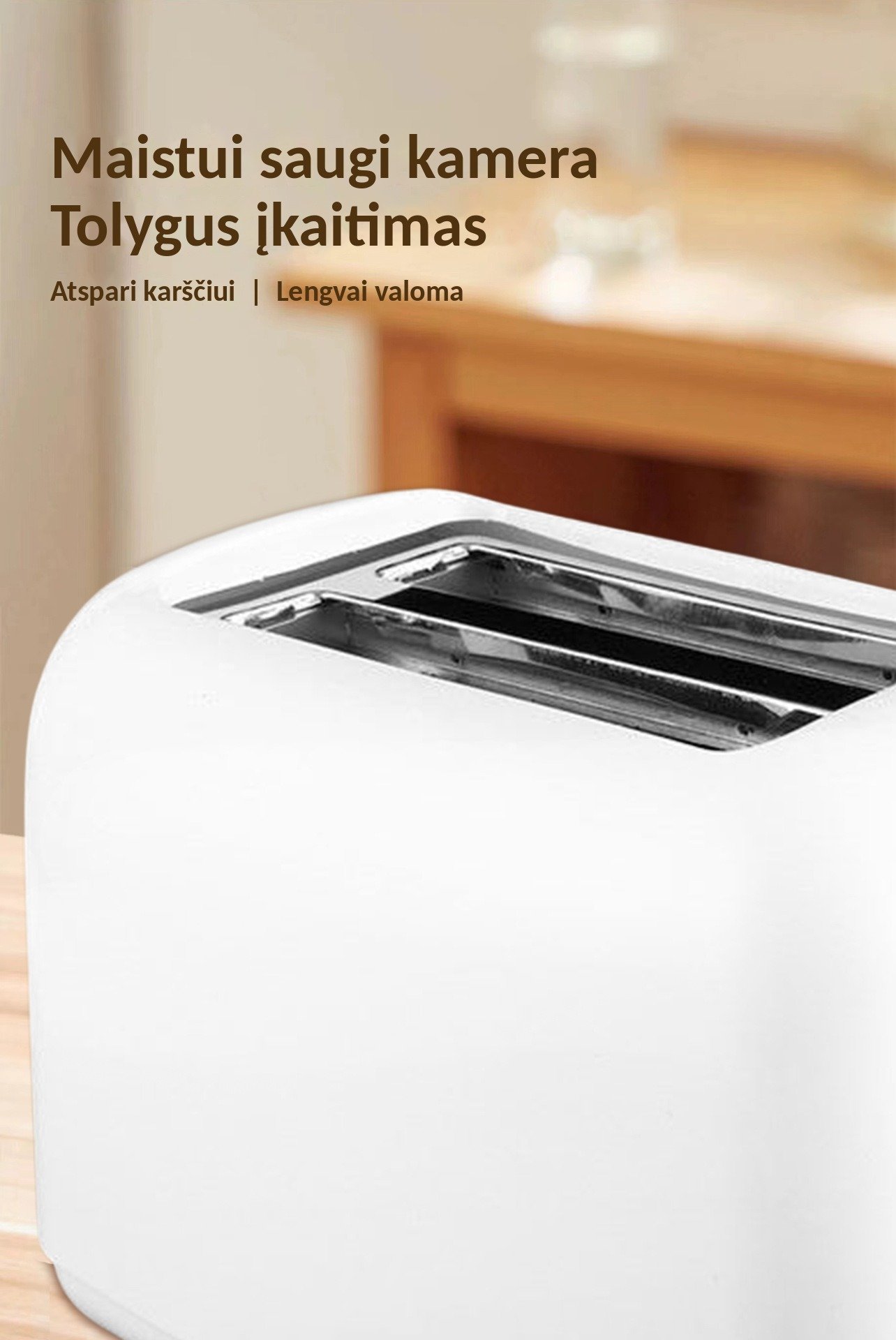 Skrudintuvas BH-002B, 650 W, 2 riekėms, metalinis korpusas, plieno / juodas aprašymas - Prekės nuotrauka