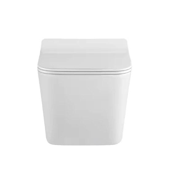 Pakabinamas kvadratinis klozetas be apvado FIT2 7004, 510 mm, su lėto nusileidimo dangčiu, dvigubas nuleidimas 3/6 L, suderinama