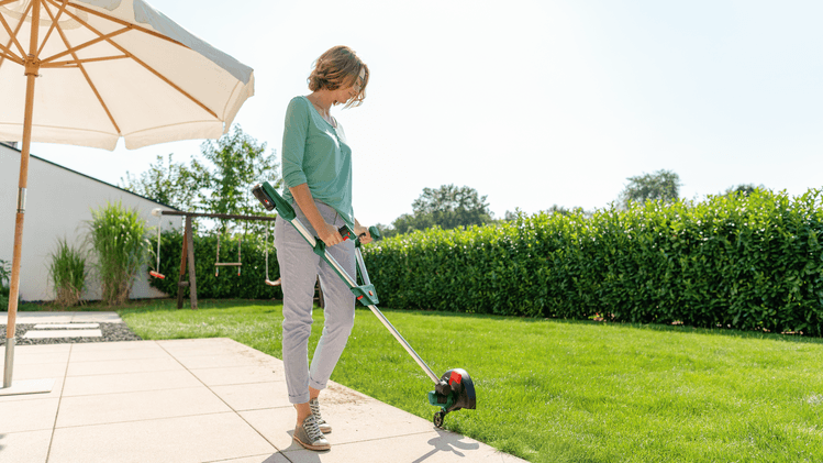 Bosch Universalus Akumuliatorinis žolės pjovimo trimeris GrassCut 18V-26