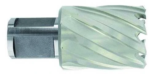Tivoly Metalo gręžimo freza Ø40X80X50 мм HSS, tvirtinimas Ø19 мм, Weldon