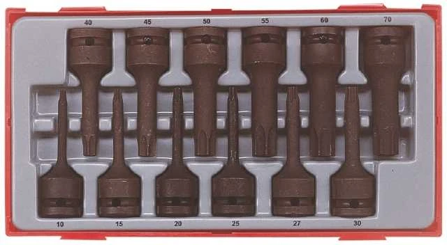 TengTools Smūginių sukimo antgalių rinkinys Teng Tools TT9212TX; 12 vnt.