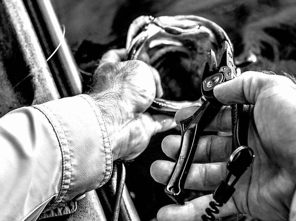 Žvejybinės replės Gerber Magniplier 7.5" Locking Pliers NEASORTIMENTAS