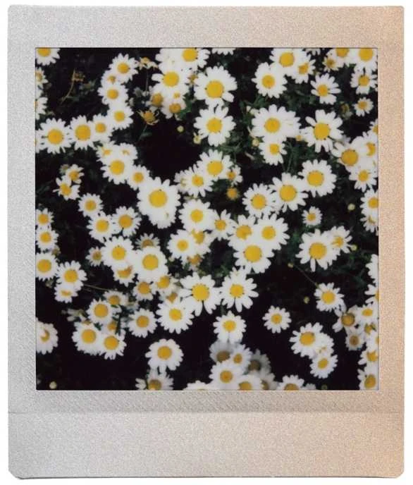 Fujifilm Instax Square SUNSET 10pl