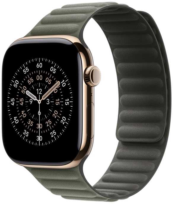 Apple 46 mm šalavijų pilkos spalvos magnetinė grandinėlė - M/L