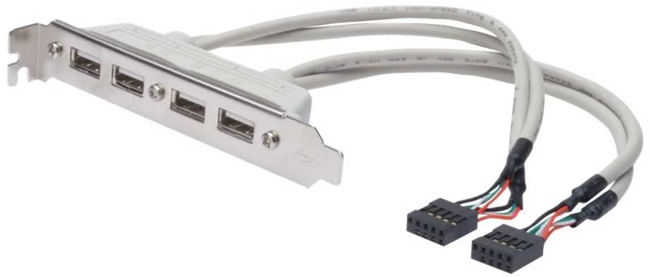 Assmann Electronic ASSMANN USB lizdo laikiklio kabelis 4x tipo A-2x10 kontaktų IDC F/F 0,25 m USB 2.0 suderinamas