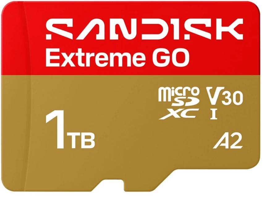 SanDisk Extreme GO 1 TB Micro SDXC UHS-I atminties kortelė