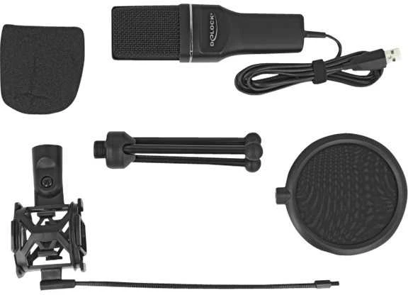 Delock USB Kondensator Mikrofonas Set - fr Podcasting, Gaming und Gesang