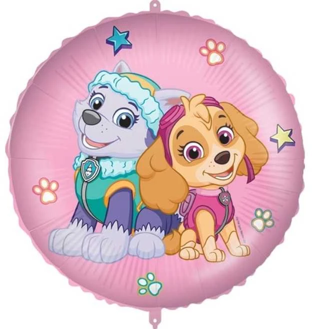 GoDan 18" Paw Patrol Skye ir Everest folijos balionai 92976
