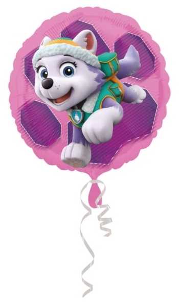 Boland Traciks AMSCAN standartinis folijos balionas - Paw Patrol Skye ir Everest (3408801)