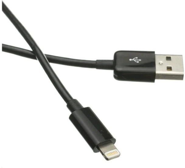 Kabelis USB C-Tech USB-A - Lightning 1 m Juodas (CB-APL-10B)