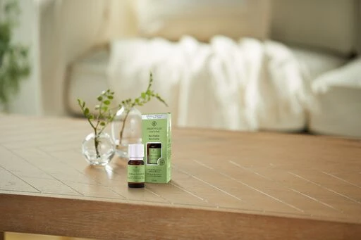 Chesapeake Bay Candle Chesapeake Bay difuzoriaus aliejus – atgaivinimas