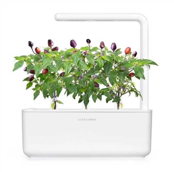 „Click And Grow“ augalų ankštys „Click & Grow“, 9 vnt. pakuotė – Violetinė čili pipirų spalva – alyvinė