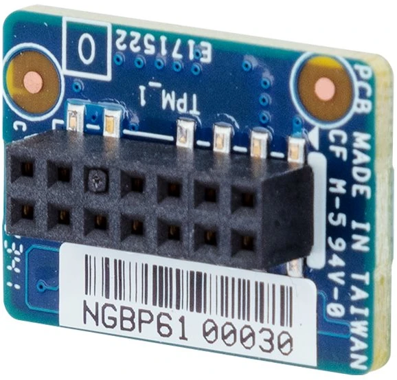 Gigabyte TPM modulio plokštė CTM012 2.0