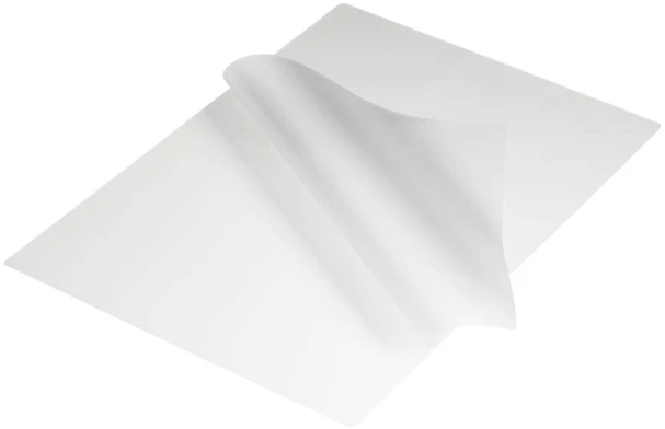 Erwin Muller DAHLE Laminavimo kišenės A4 250mi 100 vnt. 213x303mm/2x125mikronų/ 100 vnt. pakuotė