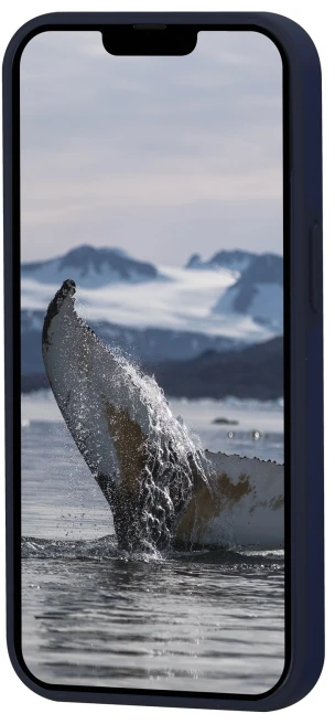 dbramante1928 Iceland Ultra, Dėklas, Apple, iPhone 14, 15.5 cm (6.1"), Mėlyna