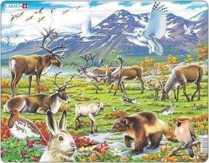Dėlionė Larsen_Puzzles Larsen Puzzle Arctic inland Maxi