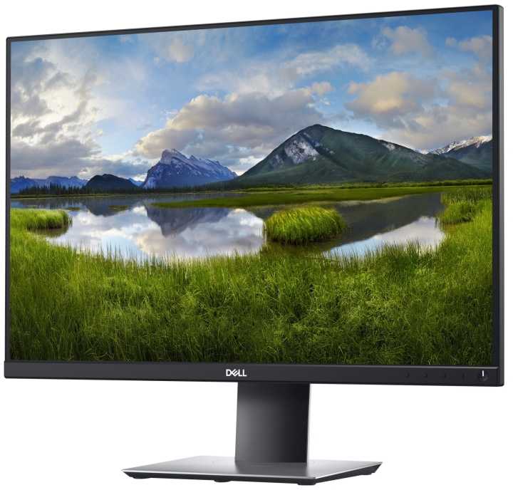 Dell Monitorius P2421 61.2 cm (24.1") 1920 x 1200 pikselių WUXGA LCD
