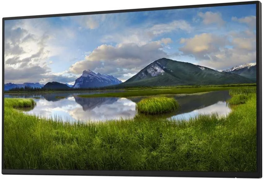 Monitorius DELL Pro Plus P2425H, 60.5 cm (23.8"), 1920 x 1080 pikselių, Full HD, LCD, 8 ms, Juodas
